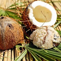 Huile de coco: régulation du cholestérol sanguin